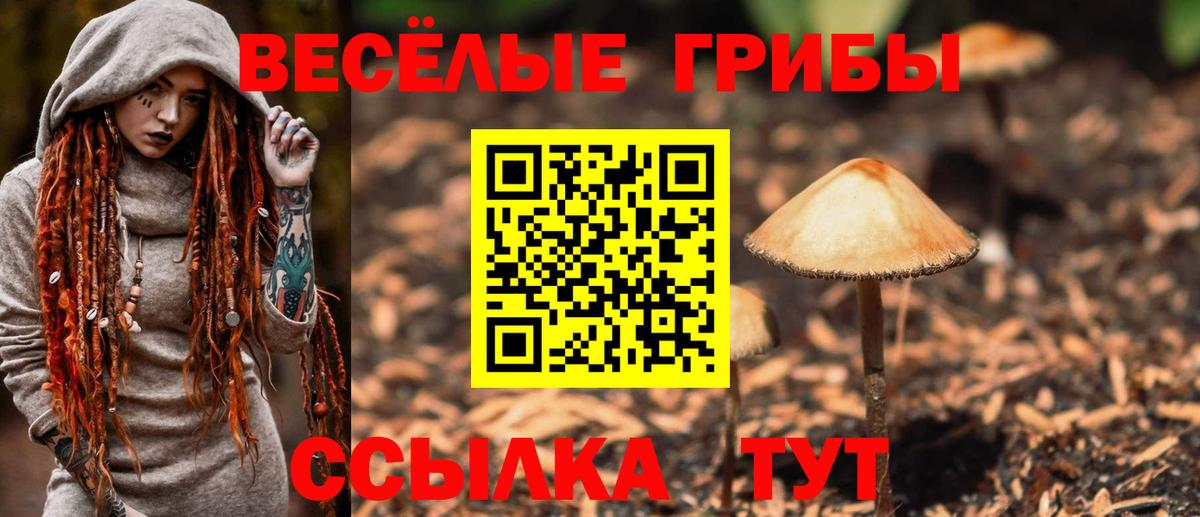 что такое наркотик  Псилоцибиновые грибы Magic Shrooms  Вход с VPN  Псилоцибиновые грибы Cubensis  Когалым 