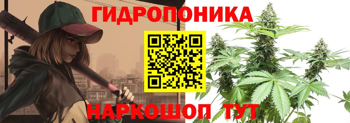 Шишки марихуана марихуана Когалым